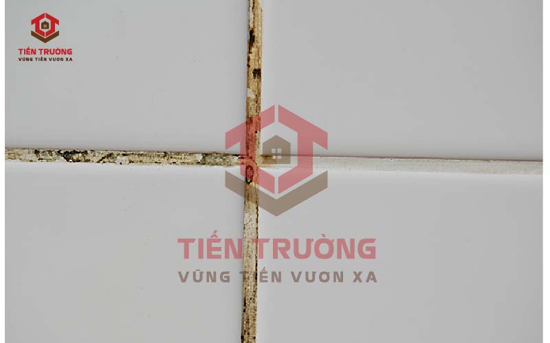 Hậu quả của việc sử dụng keo chà ron kém chất lượng